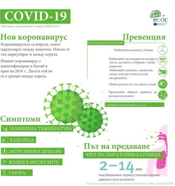 Информация за Covid-19 (колаж)